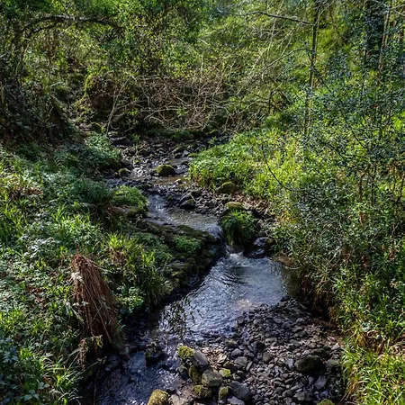 The Glenview & Leisure Club 4*