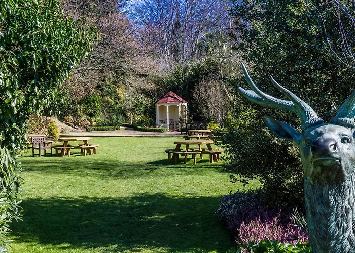 The Glenview & Leisure Club 4* Ньютаун-Маунт-Кеннеди