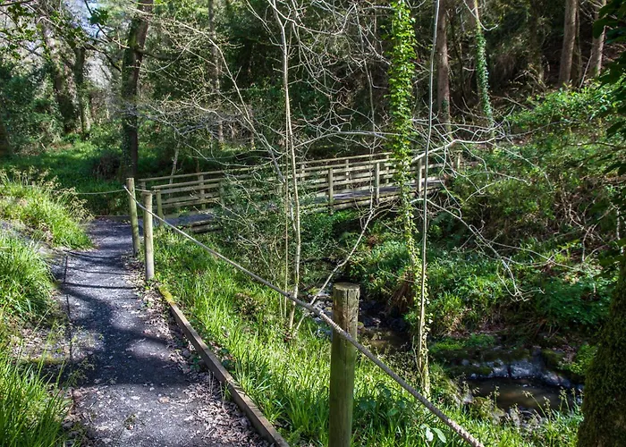 The Glenview & Leisure Club Ньютаун-Маунт-Кеннеди