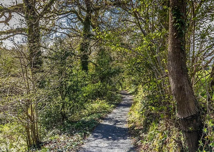 The Glenview & Leisure Club Отель Ньютаун-Маунт-Кеннеди