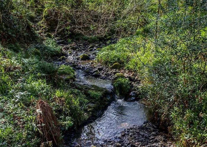 The Glenview & Leisure Club 4*