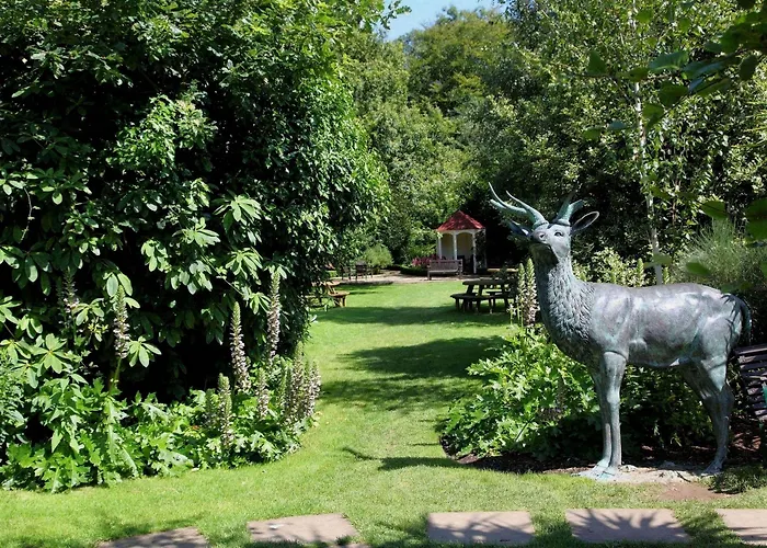 The Glenview & Leisure Club Отель Ньютаун-Маунт-Кеннеди