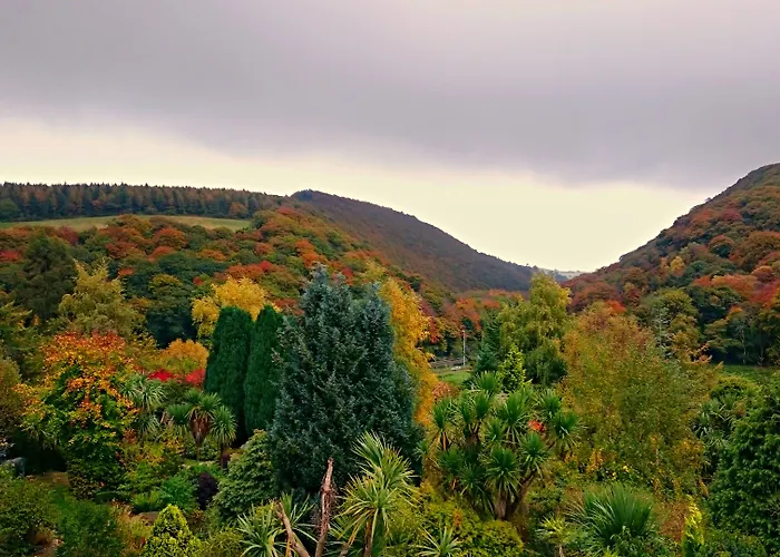 The Glenview & Leisure Club Ньютаун-Маунт-Кеннеди